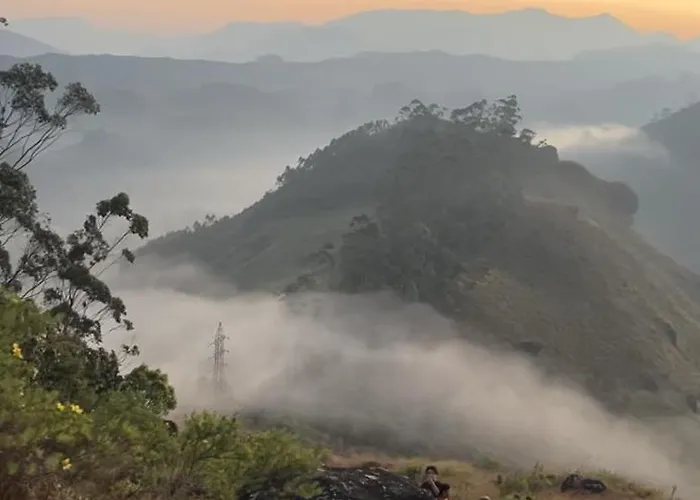 Nature Dale Munnar