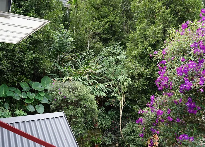 The Wayside Cottage Munnar