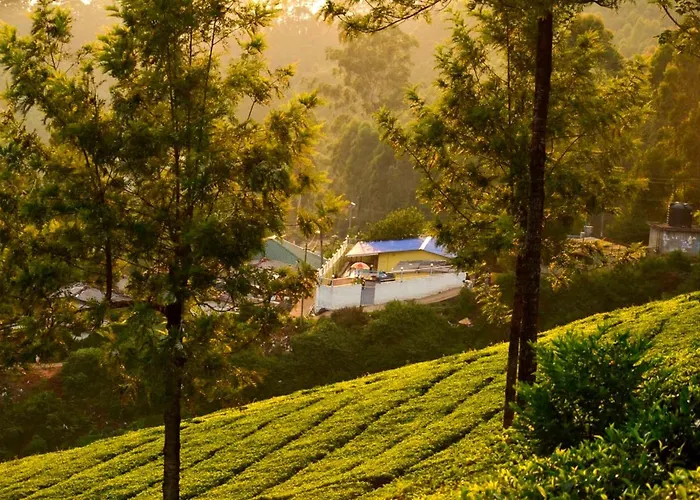 Munnar Valley View