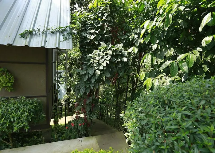 Moselberg Riverside Cottages